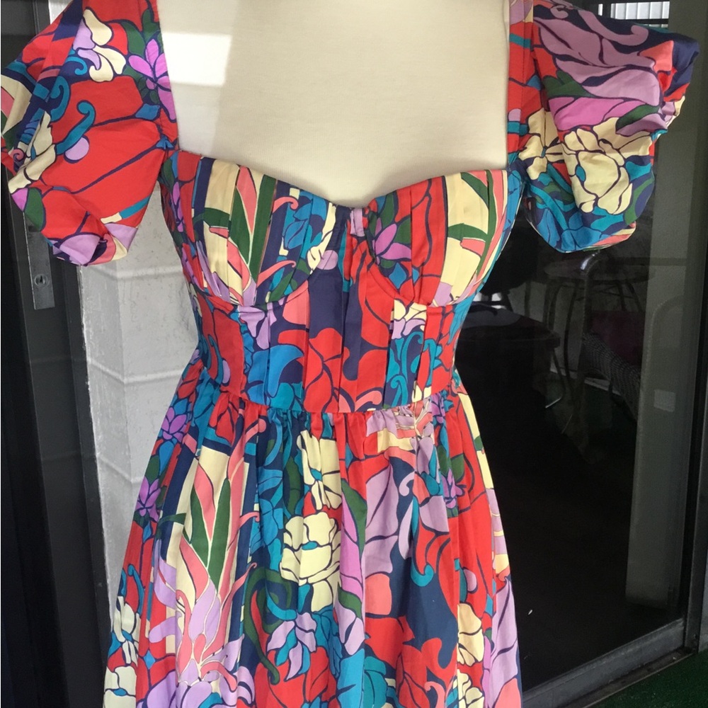NWT Tuckernuck Climbing Cosmos Valerie Dress SZ 2 - Picture 7 of 10